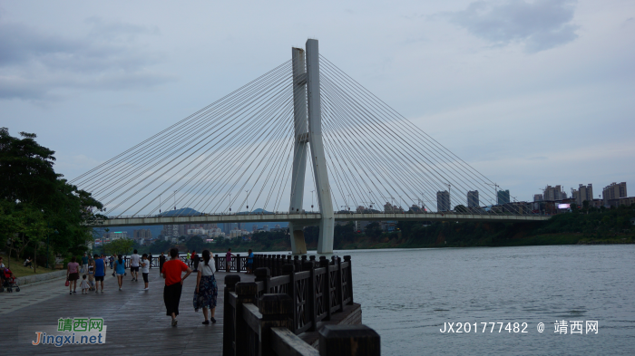 “流浪在百色的街头”，靖西实习生的那几天 - 靖西网