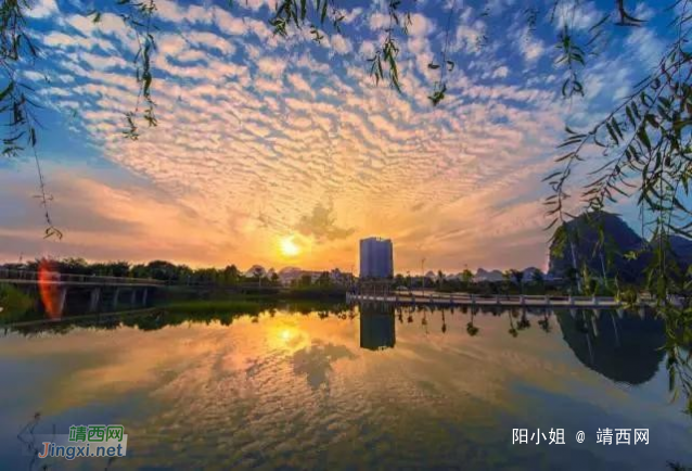 如果我在靖西遇见你! - 靖西网 如果我在靖西遇见你! - 靖西网