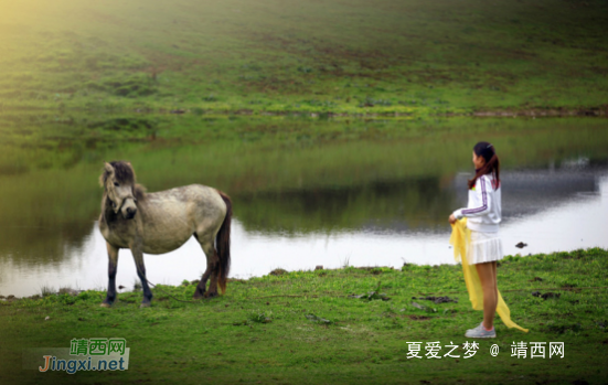 破茧成蝶 看武隆十年华丽转身 - 靖西网