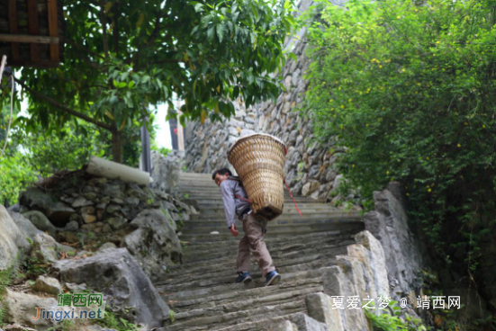 避暑桃花源--狂欢啤酒节旅游攻略 - 靖西网