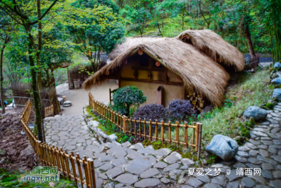 避暑桃花源--狂欢啤酒节旅游攻略 - 靖西网