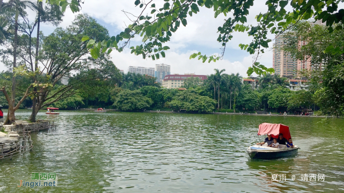 浪漫的夏日，缤纷的假期。 - 靖西网