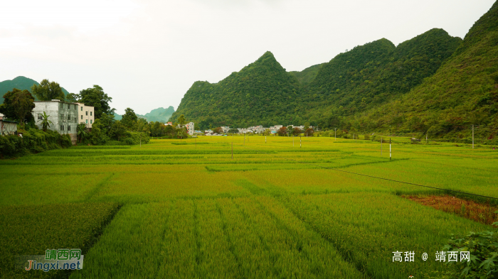 绿草碧水夏色浓，转身回眸又秋景。 - 靖西网