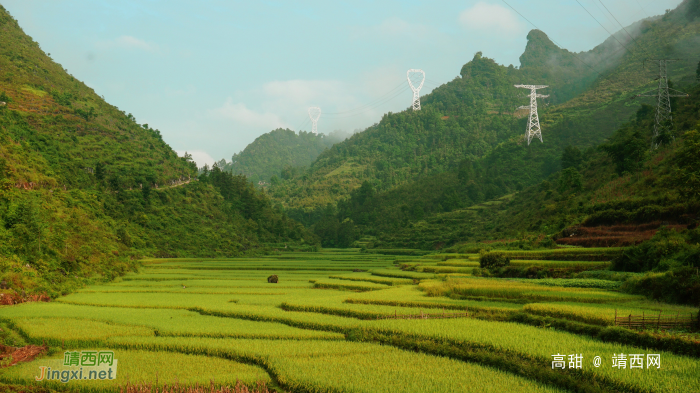 绿草碧水夏色浓，转身回眸又秋景。 - 靖西网