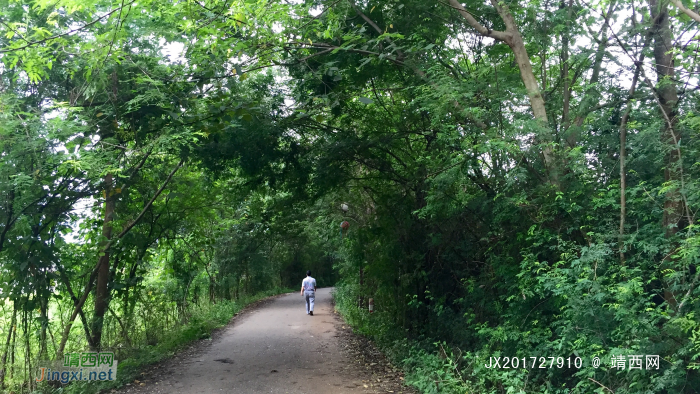 凉风扫夏暑，树叶传秋声。 - 靖西网