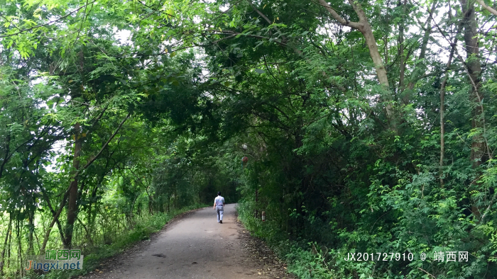 凉风扫夏暑，树叶传秋声。 - 靖西网 - 第2页