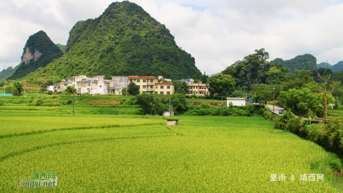 绿草碧水夏色浓，转身回眸又秋景。 - 靖西网