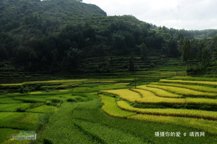 今儿的第一湾 - 靖西网