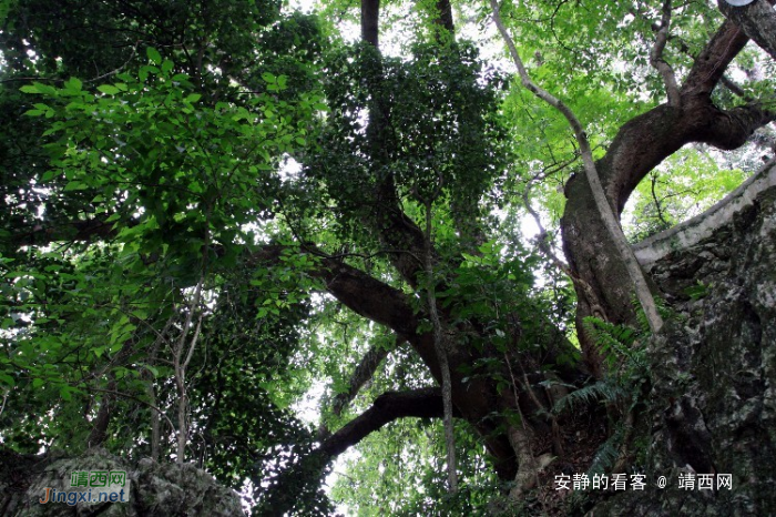 风景秀丽的靖西宾山 - 靖西网