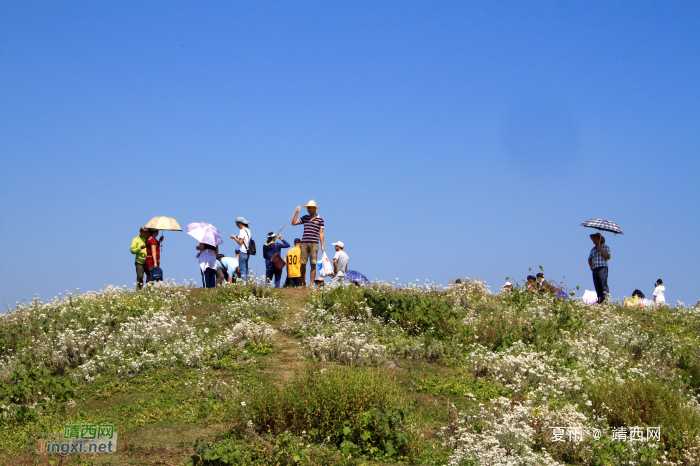 靖西同德乌鸦山魅力无穷~又登高山去，看山千万重。 - 靖西网