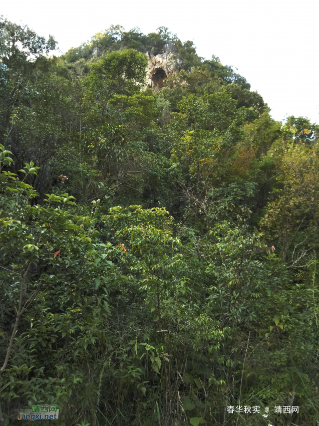 初探靖西新圩观音岩 - 靖西网