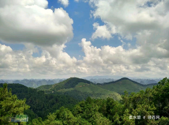 在去景点的路上，一路的风景，一路的稻香味 - 靖西网