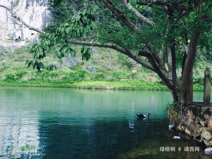 西南边陲五日游-靖西，一个又爱又恨的地方 - 靖西网