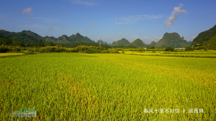 靖西晨景 旧州雾色 - 靖西网 - 第2页