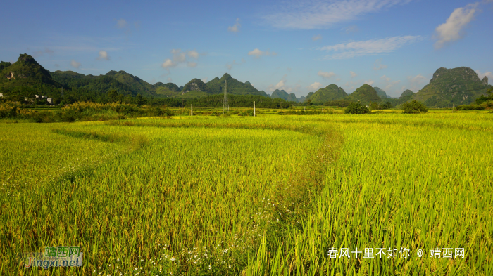 靖西晨景 旧州雾色 - 靖西网