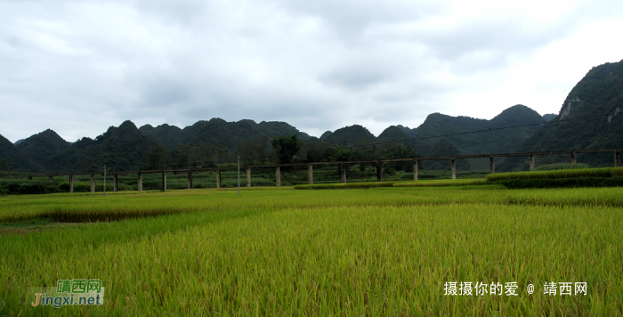 平江秋色：杂谈 - 靖西网