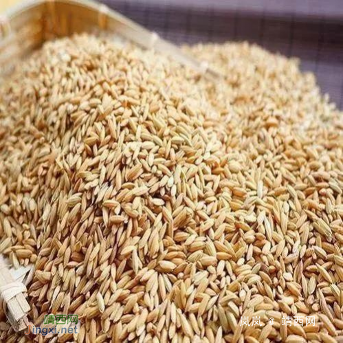 在靖西，种一亩水稻到底能赚多少钱……看完默默收拾行李 - 靖西网