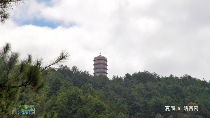 重游五岭林场，呼吸新鲜空气：登高看青山万重，入林听松涛澎湃。 - 靖西网