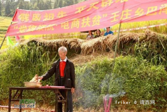 靖西巴泽梯田割稻谷比赛拉开帷幕火了一群人 - 靖西网