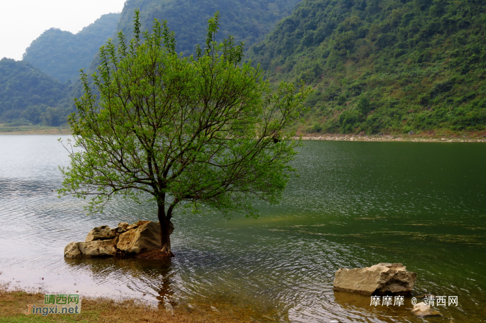 昏暗的阴天也很美，靖西市念诺湖景色。 - 靖西网