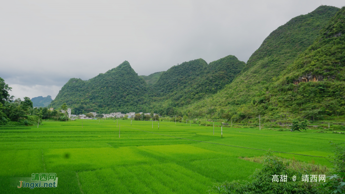 （重磅史料）  风雨“安德州” - 靖西网