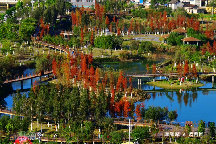 新鲜出炉，靖西市龙潭湿地公园冬景。 - 靖西网