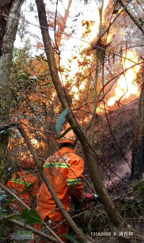 昨天靖西市地州发生一起森林火灾 - 靖西网