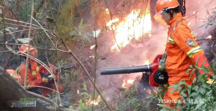 昨天靖西市地州发生一起森林火灾 - 靖西网