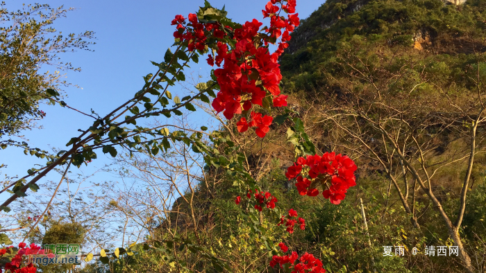 龙潭雨后明丽景色 - 靖西网