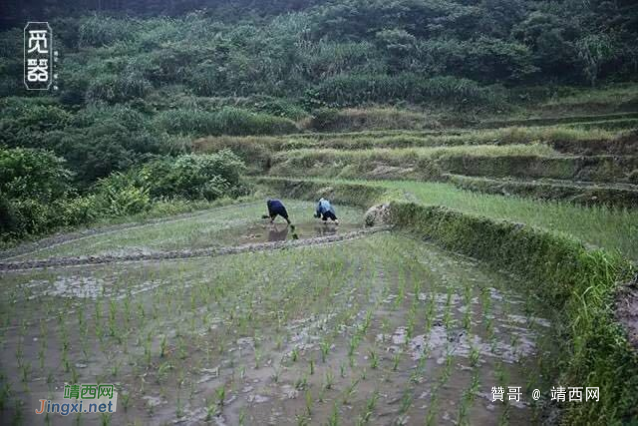 在一个没有信号的村子里呆了几天，也许可以找回纯真的自己 - 靖西网