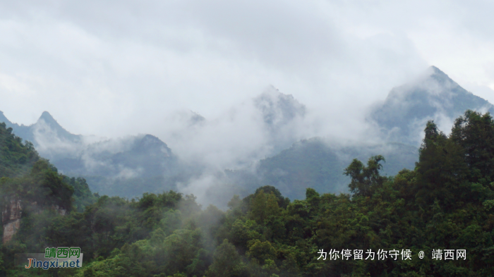 细雨绵绵，雾色朦朦 - 靖西网