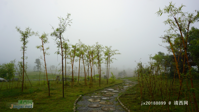 细雨绵绵，雾色朦朦 - 靖西网