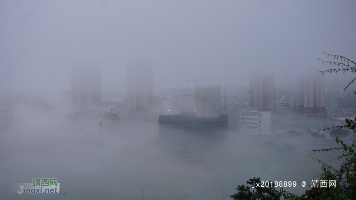 细雨绵绵，雾色朦朦 - 靖西网