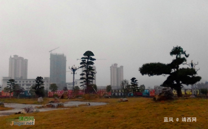 细雨绵绵，雾色朦朦 - 靖西网 - 第3页