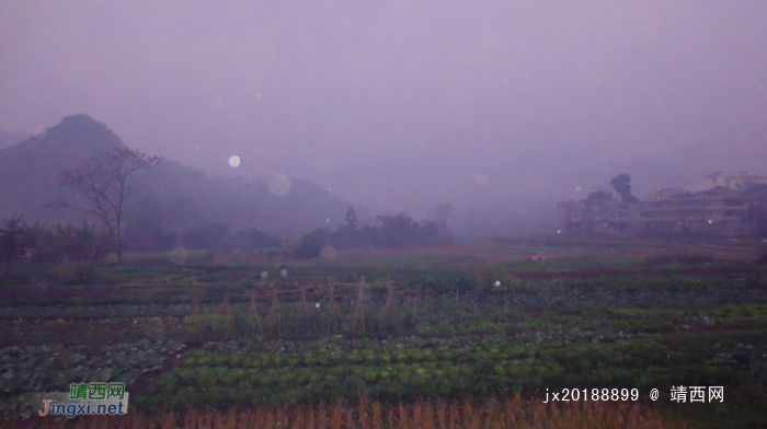 细雨绵绵，雾色朦朦 - 靖西网 - 第3页