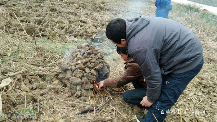 陪孩子过童年，大人玩得更疯狂！ - 靖西网