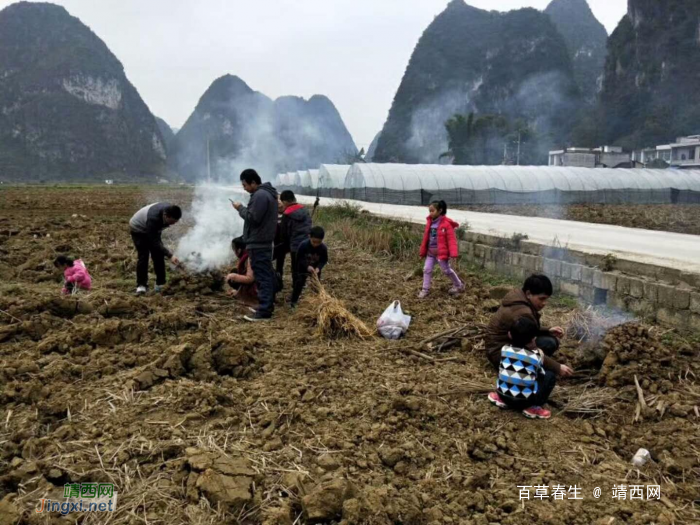 陪孩子过童年，大人玩得更疯狂！ - 靖西网