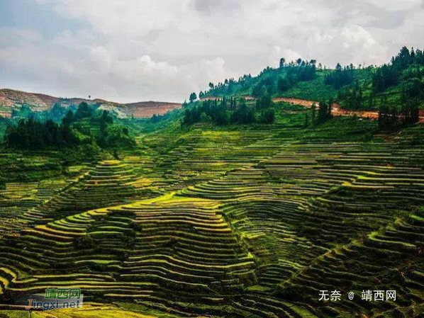 广西最年轻最美的城市——靖西 - 靖西网