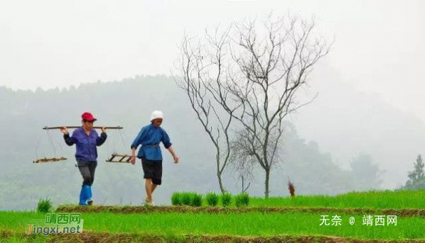 广西最年轻最美的城市——靖西 - 靖西网