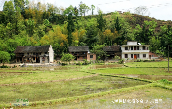 2018我要回农村 - 靖西网