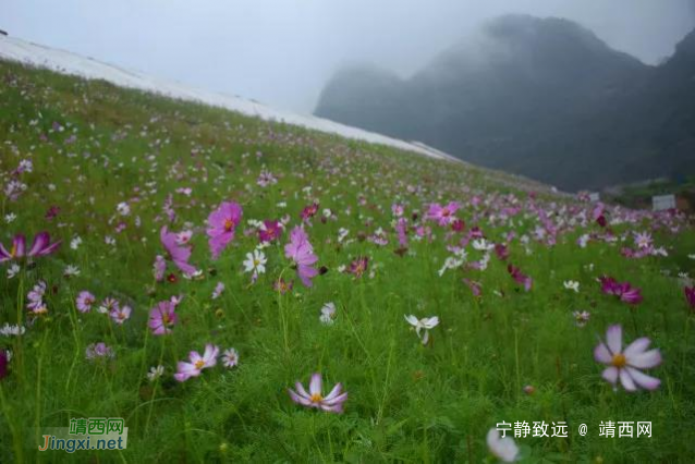 龙靖高速龙邦隧道双线贯通.... - 靖西网