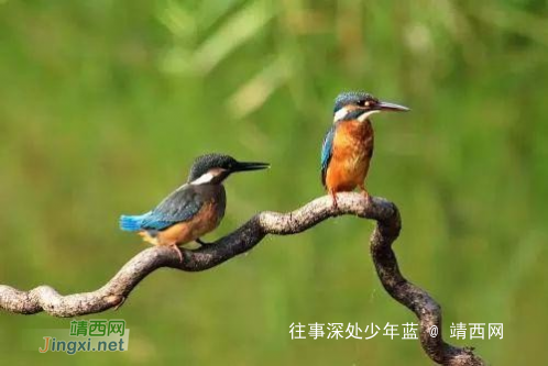 10个经典小故事,浅显易懂,寓意深刻! - 靖西网 10个经典小故事,浅显易懂,寓意深刻! - 靖西网