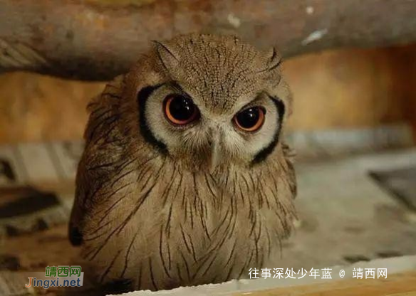 10个经典小故事,浅显易懂,寓意深刻! - 靖西网 10个经典小故事,浅显易懂,寓意深刻! - 靖西网