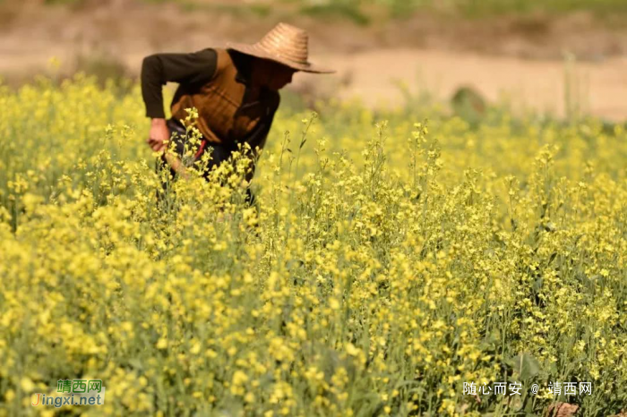 抽水后的龙潭依旧很美··········· - 靖西网