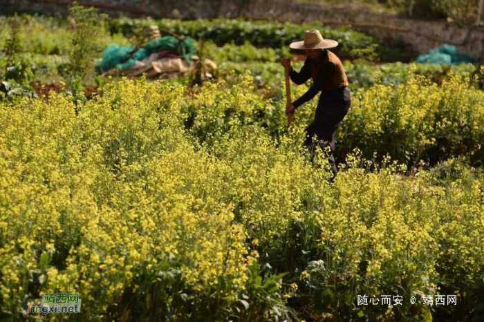 抽水后的龙潭依旧很美··········· - 靖西网