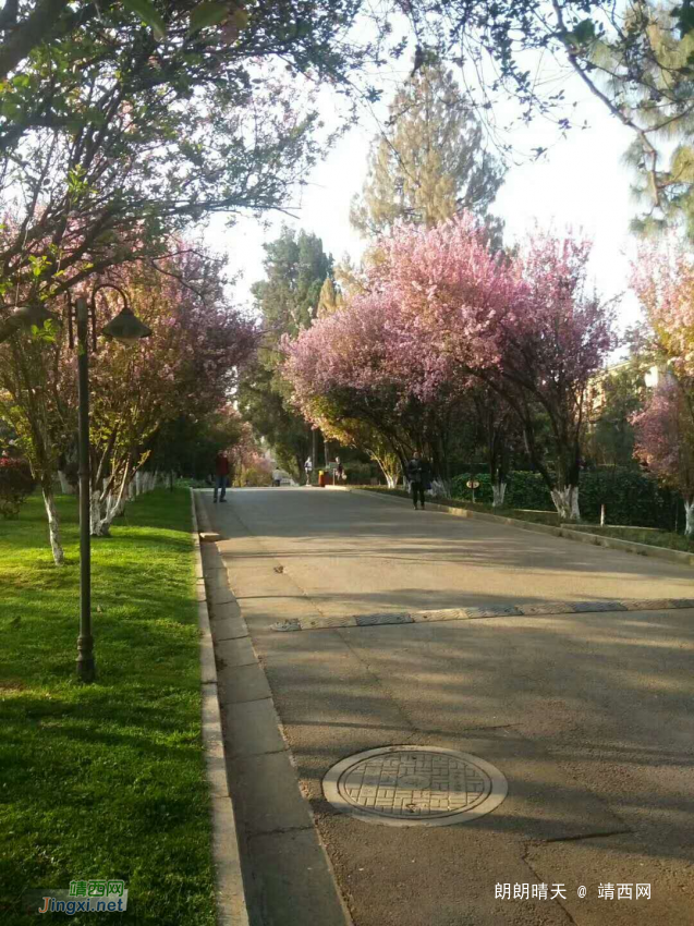 随手一拍，处处是美景 - 靖西网