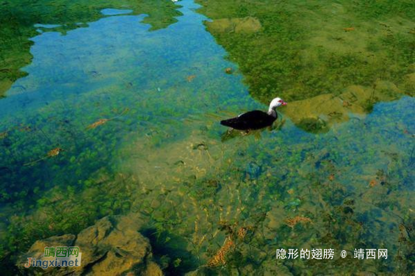 人说靖西好风光,地肥水美人漂亮 - 靖西网 人说靖西好风光,地肥水美人漂亮 - 靖西网
