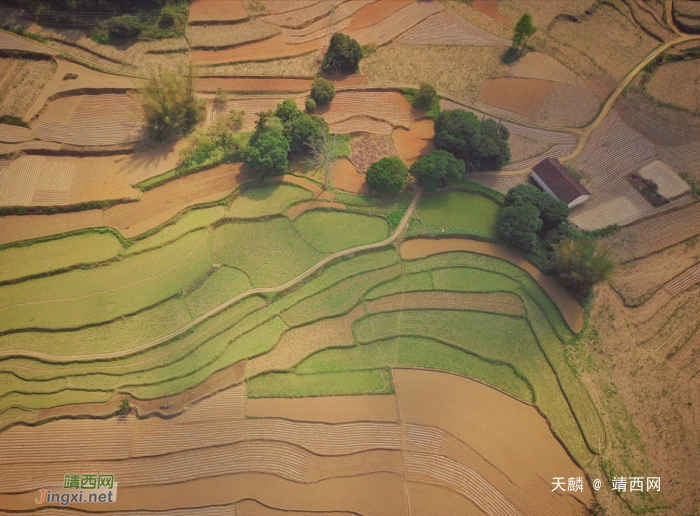 随手拍——靖西美如画农村风景 - 靖西网