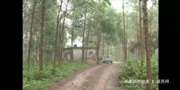广西警方查获隐藏山上吸毒窝点 最小女吸毒人员不到14岁 - 靖西网