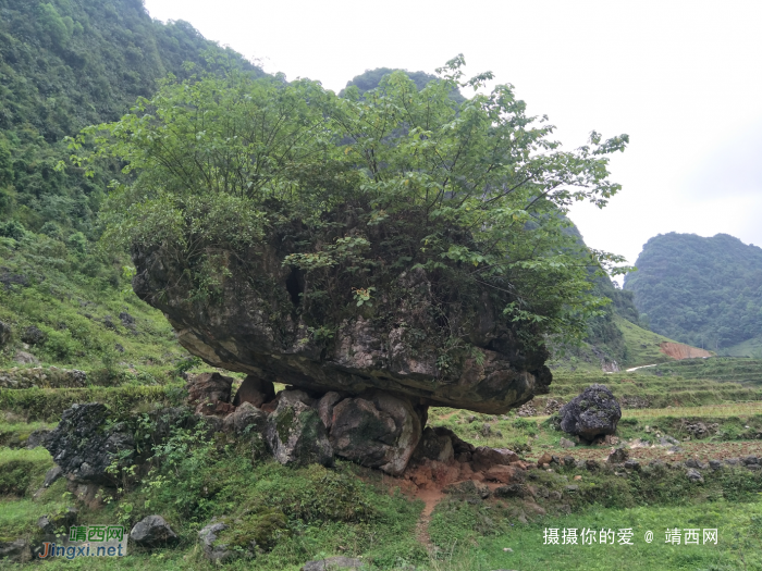 重游念诺水库 - 靖西网 - 第2页